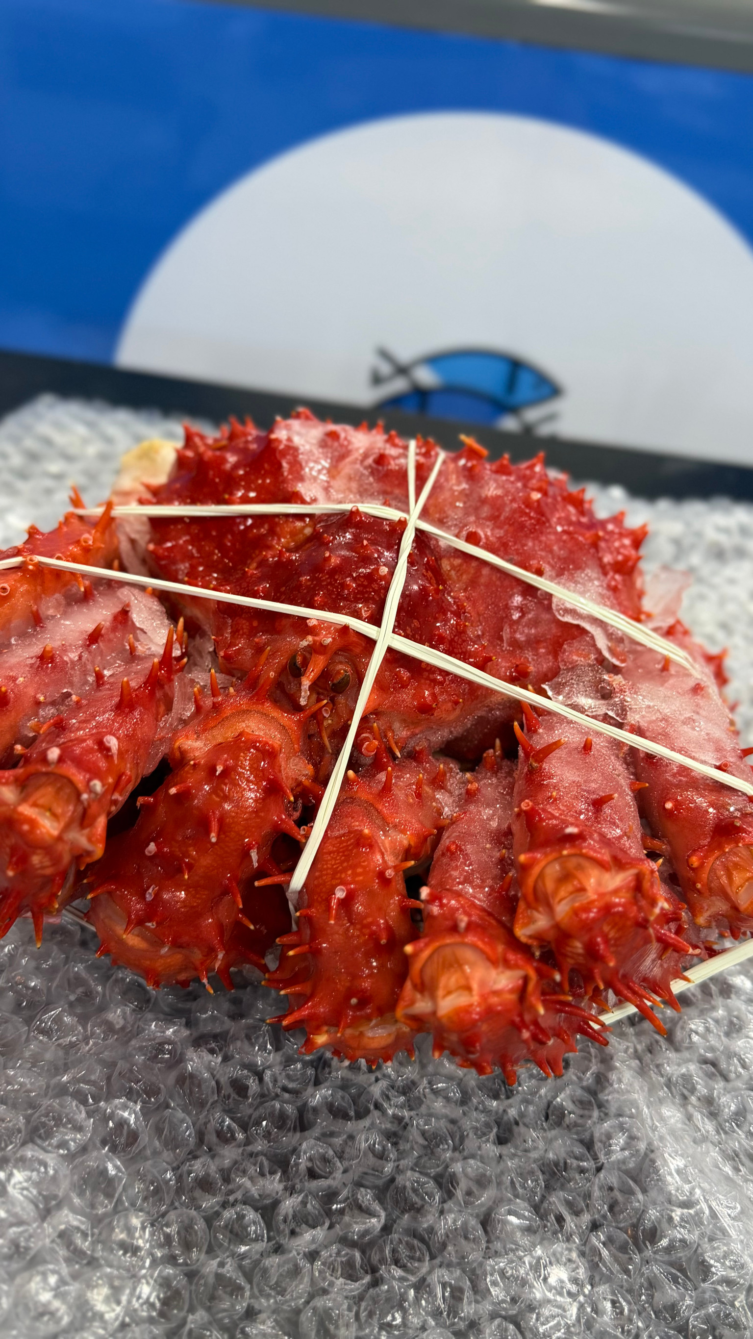 King Crab