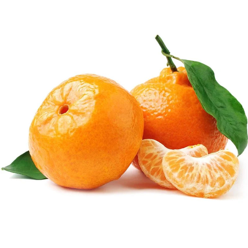 Tangerina Pokan Kg