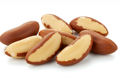CASTANHA