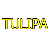 TULIPA 
