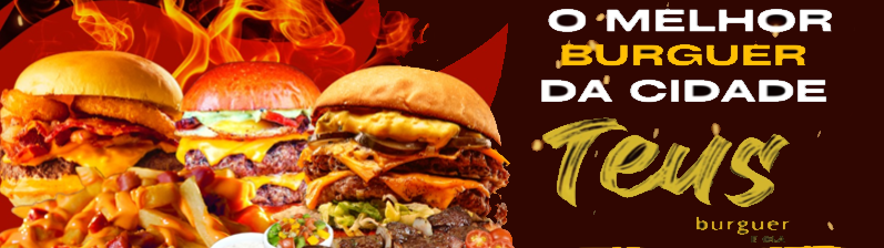 TEUS BURGUER