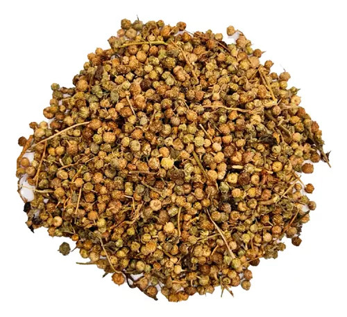 MACELA