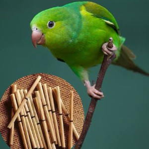 CIGARRO PERIQUITO
