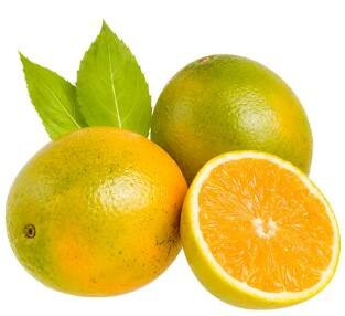 Laranja Pêra Rio kg