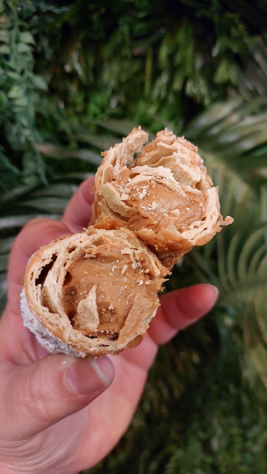 Cannoli de Doce de Leite