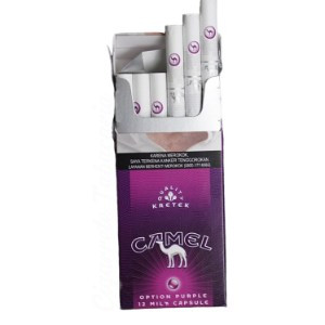 CAMEL KRETEK BERRY