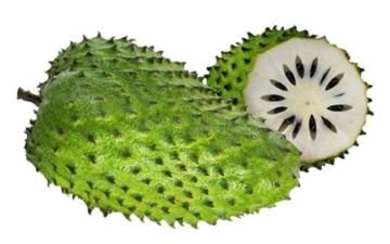 GRAVIOLA