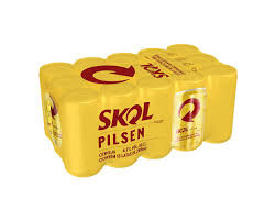 CAIXA SKOL 269ML C/15UN