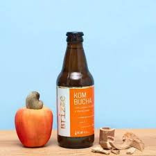 Kombucha Tangerina e Baunilha do Cerrado