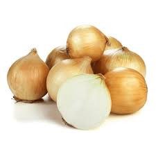 CEBOLA