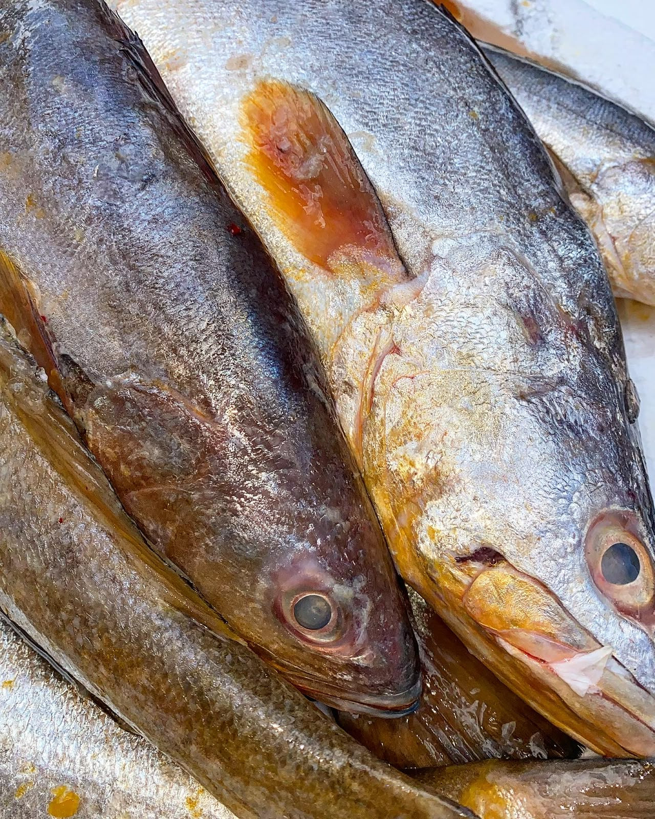 Pescadinha (1kg).