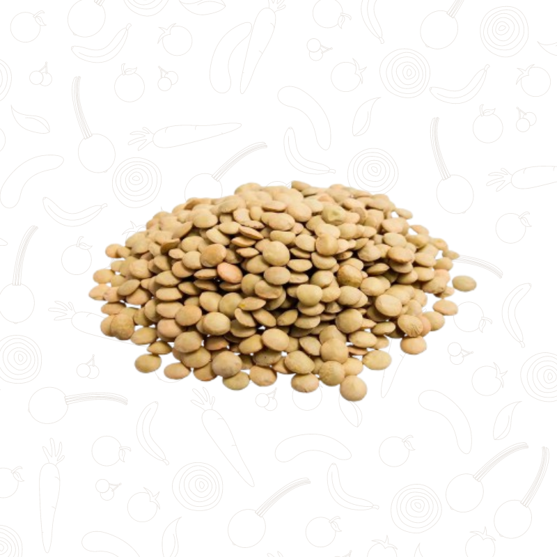 Lentilha Canadense 100g