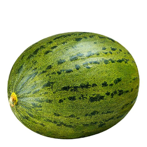 MELÃO SAPO