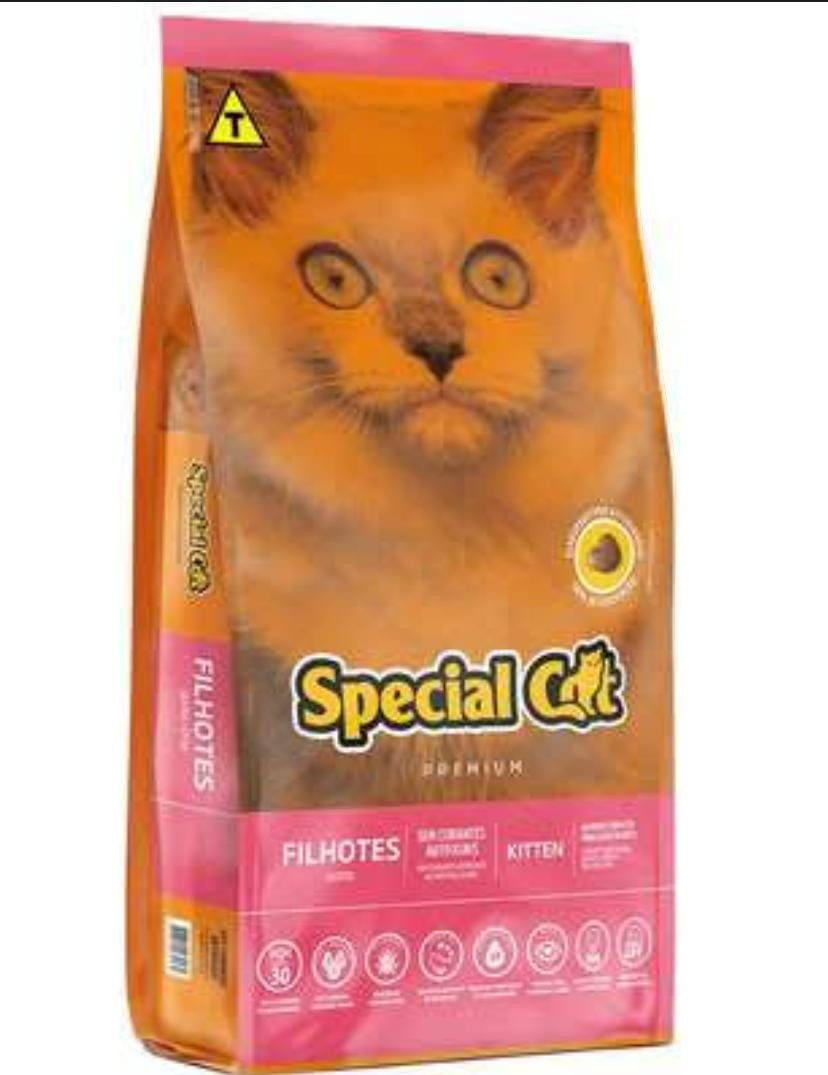 Special Cat Filhote 