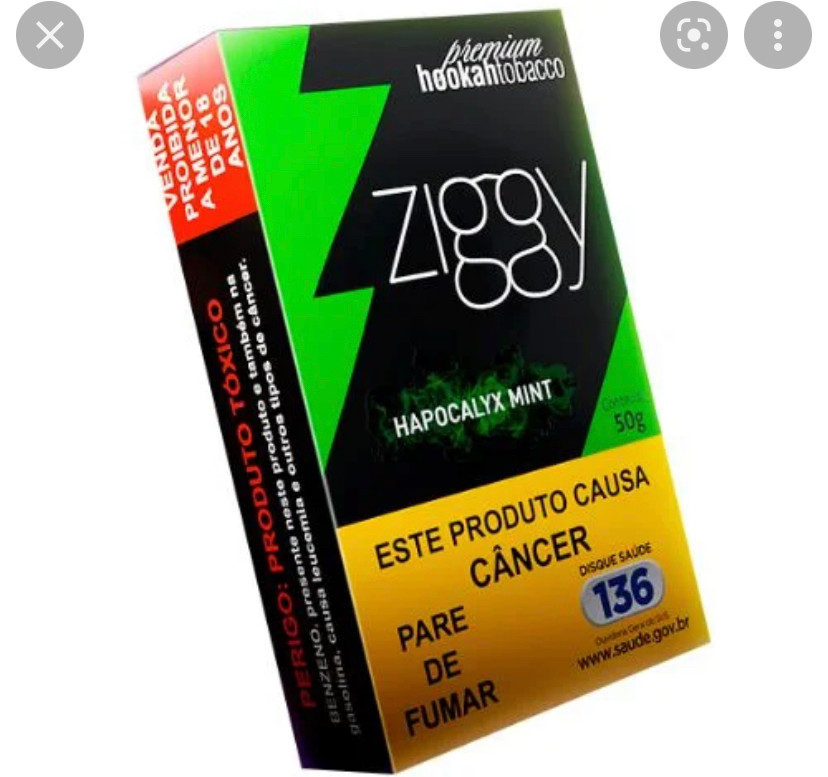  ZIGGY HAPOCALIX MINT