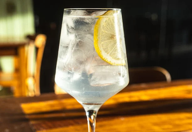 Gin Tônica Tradicional