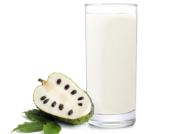 SUCO GRAVIOLA 300ML