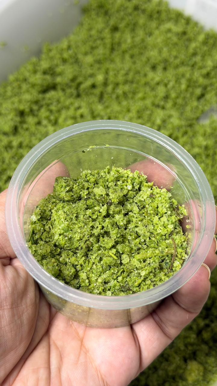 Sal temperado (60g)