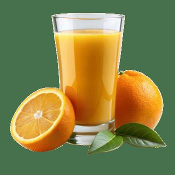 SUCO DA FRUTA LARANJA 400ML