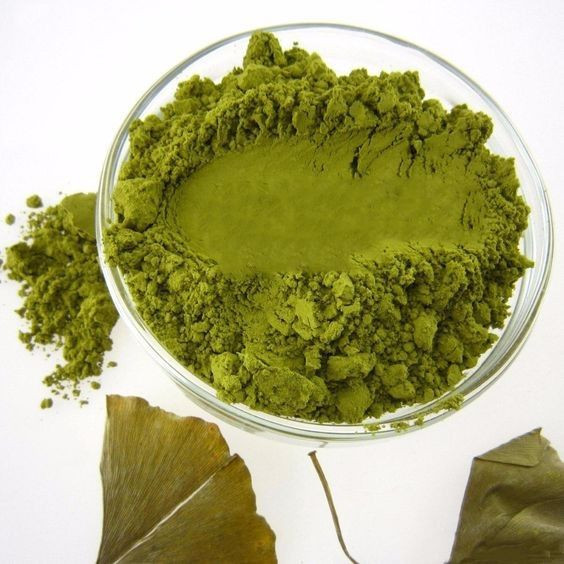GINKO BILOBA