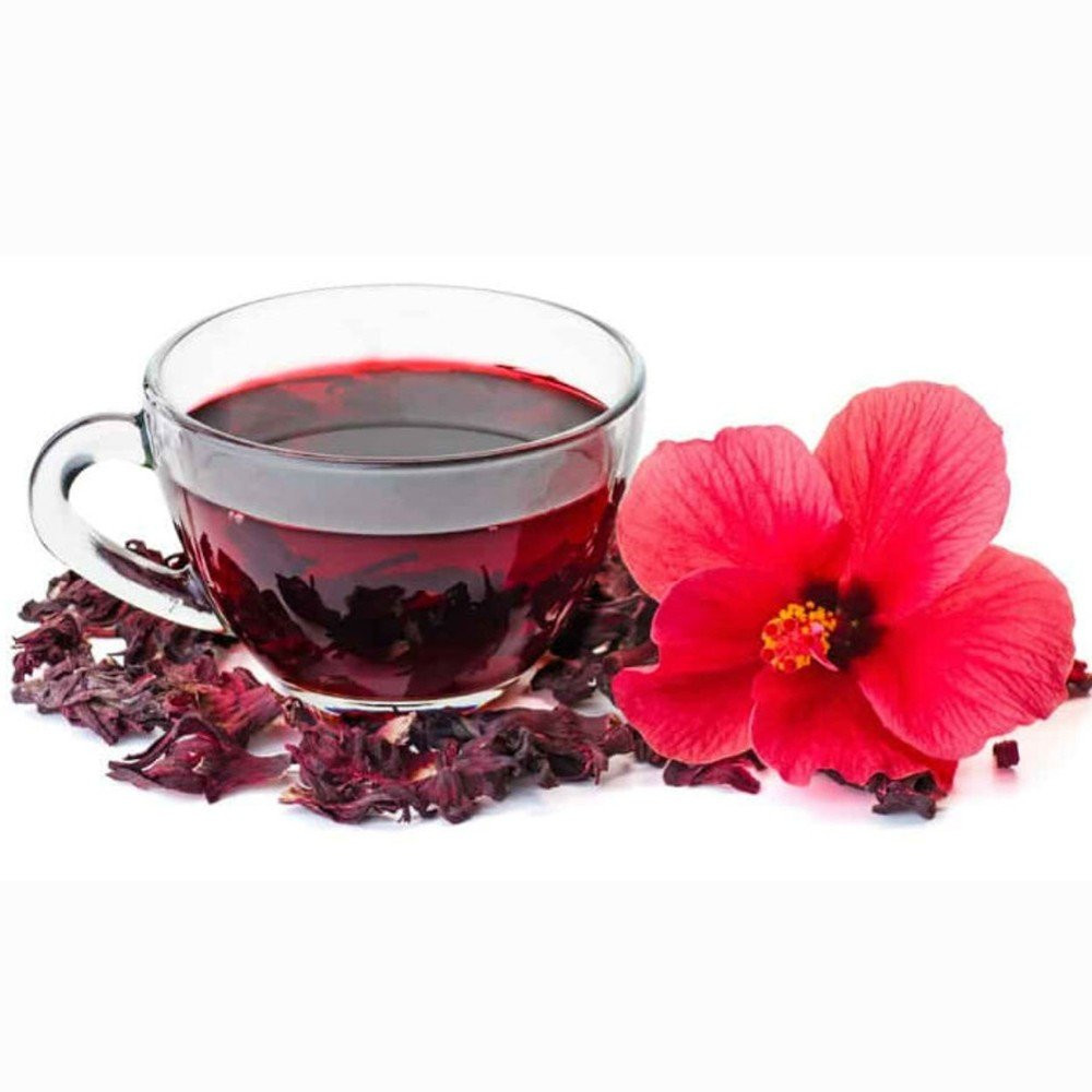 HIBISCO
