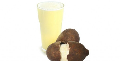 Creme cupuaçu 500ml
