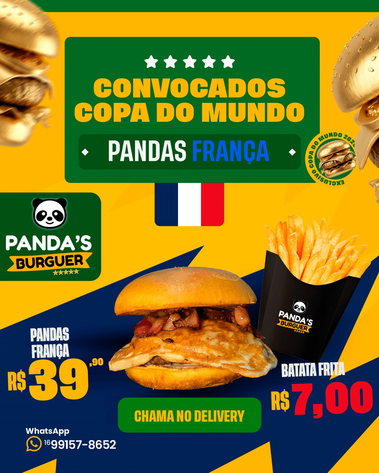PANDAS FRANÇA