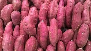 BATATA DOCE KG