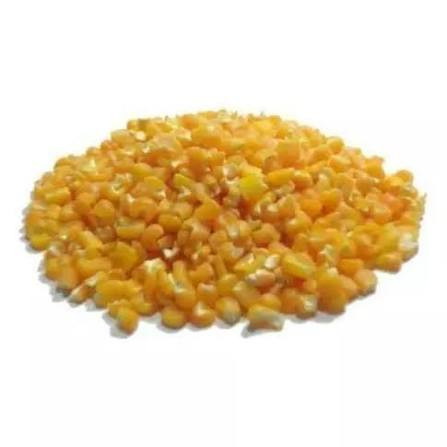 Canjica Amarela (100g)