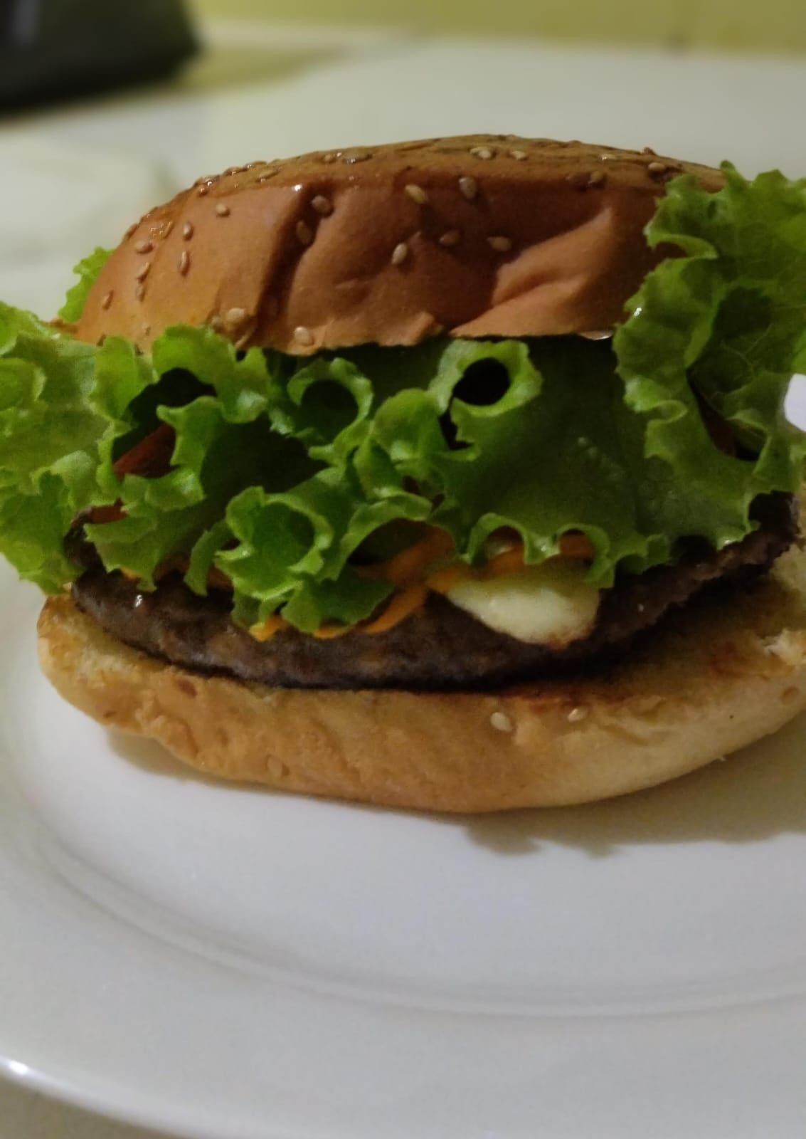 X-BURGUER