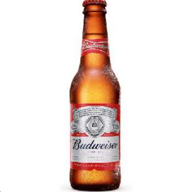 Budweiser – Long Neck
