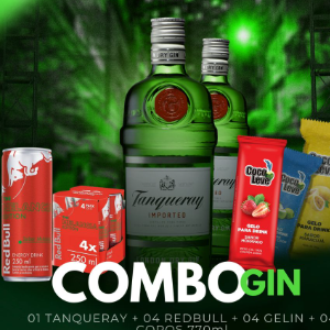 COMBO TANQUERAY C/ RED BULL