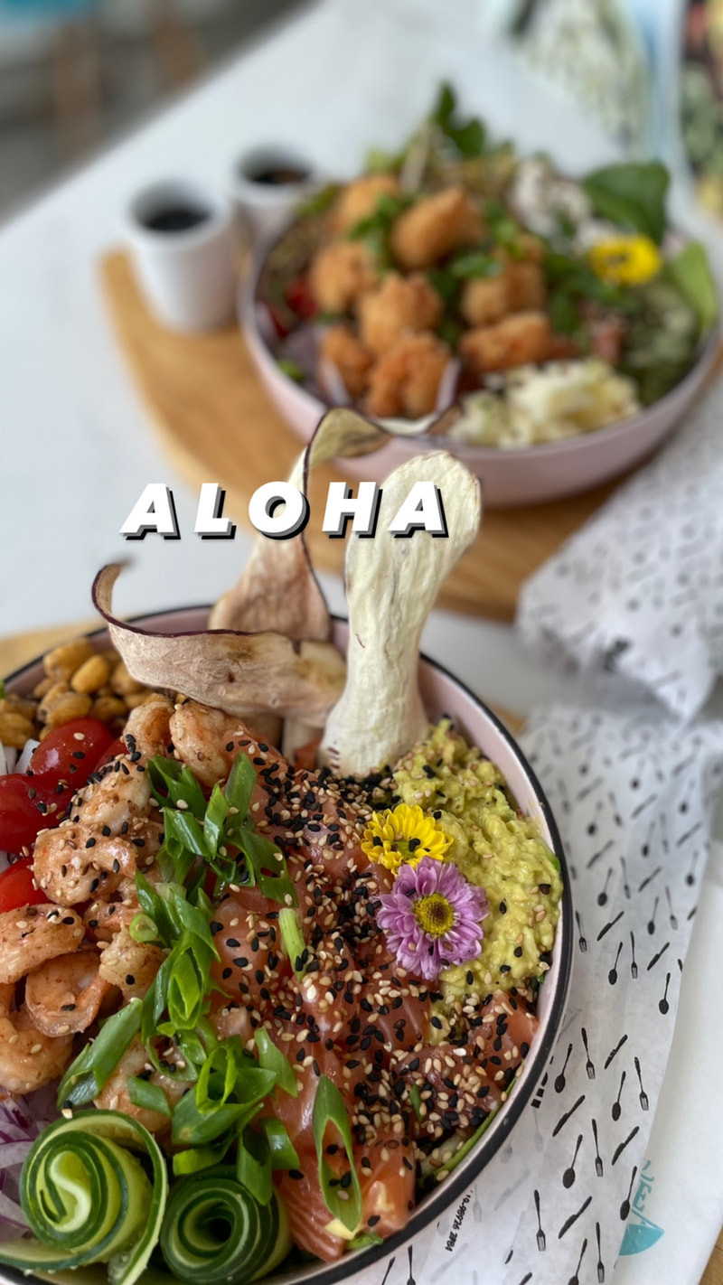 Aloha 160G