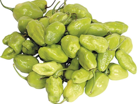 PIMENTA DE CHEIRO 100g
