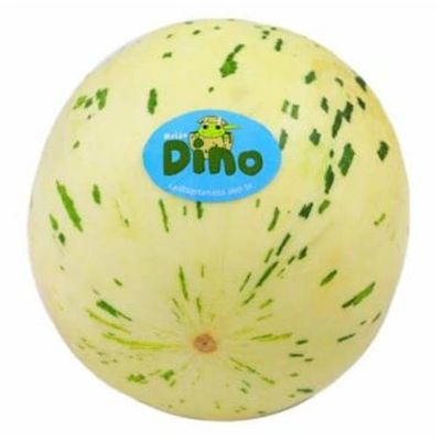 Melão Dino