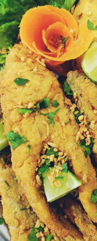 Corvina