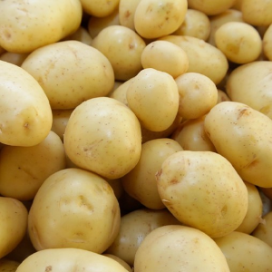BATATA INGLESA BRANCA