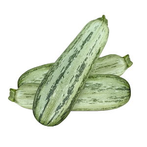 ABOBRINHA ITALIANA