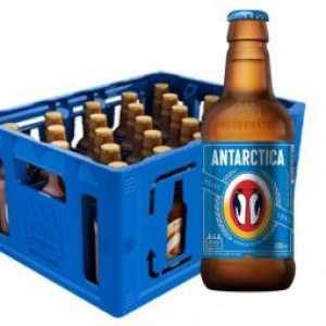 Antarctica Piriguete - CX 24 UND