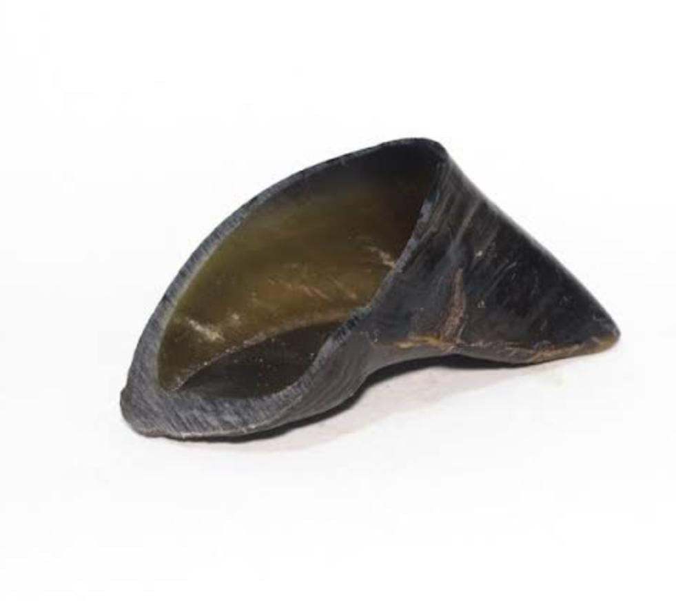 Casco Bovino