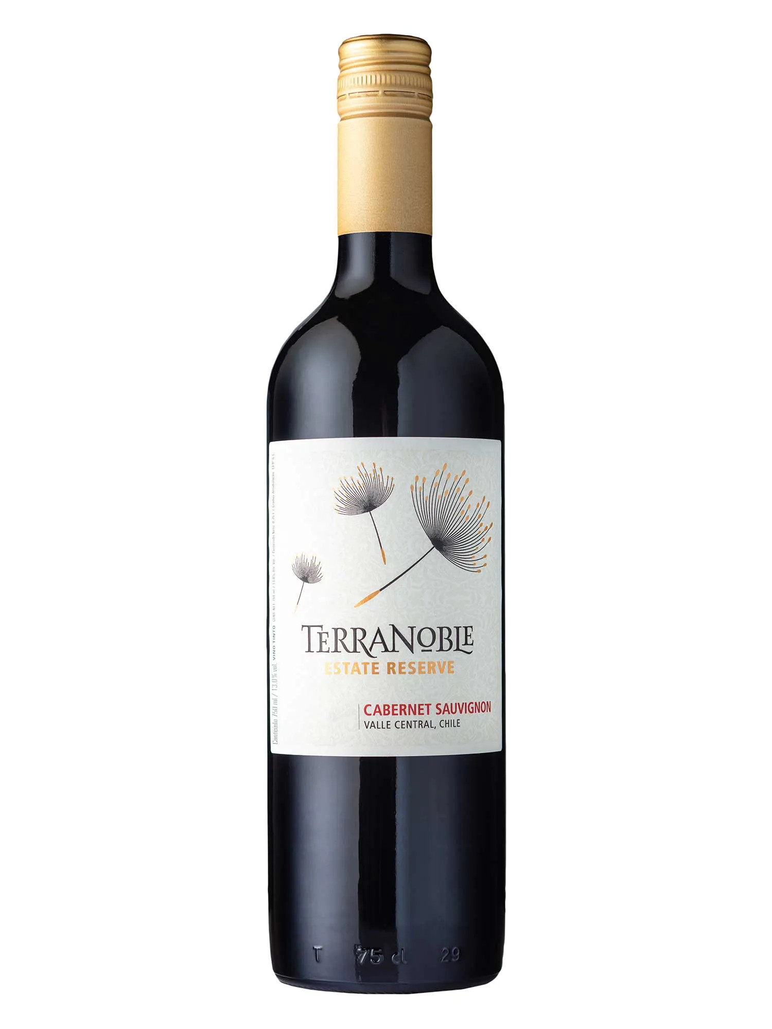 TERRANOBLE	