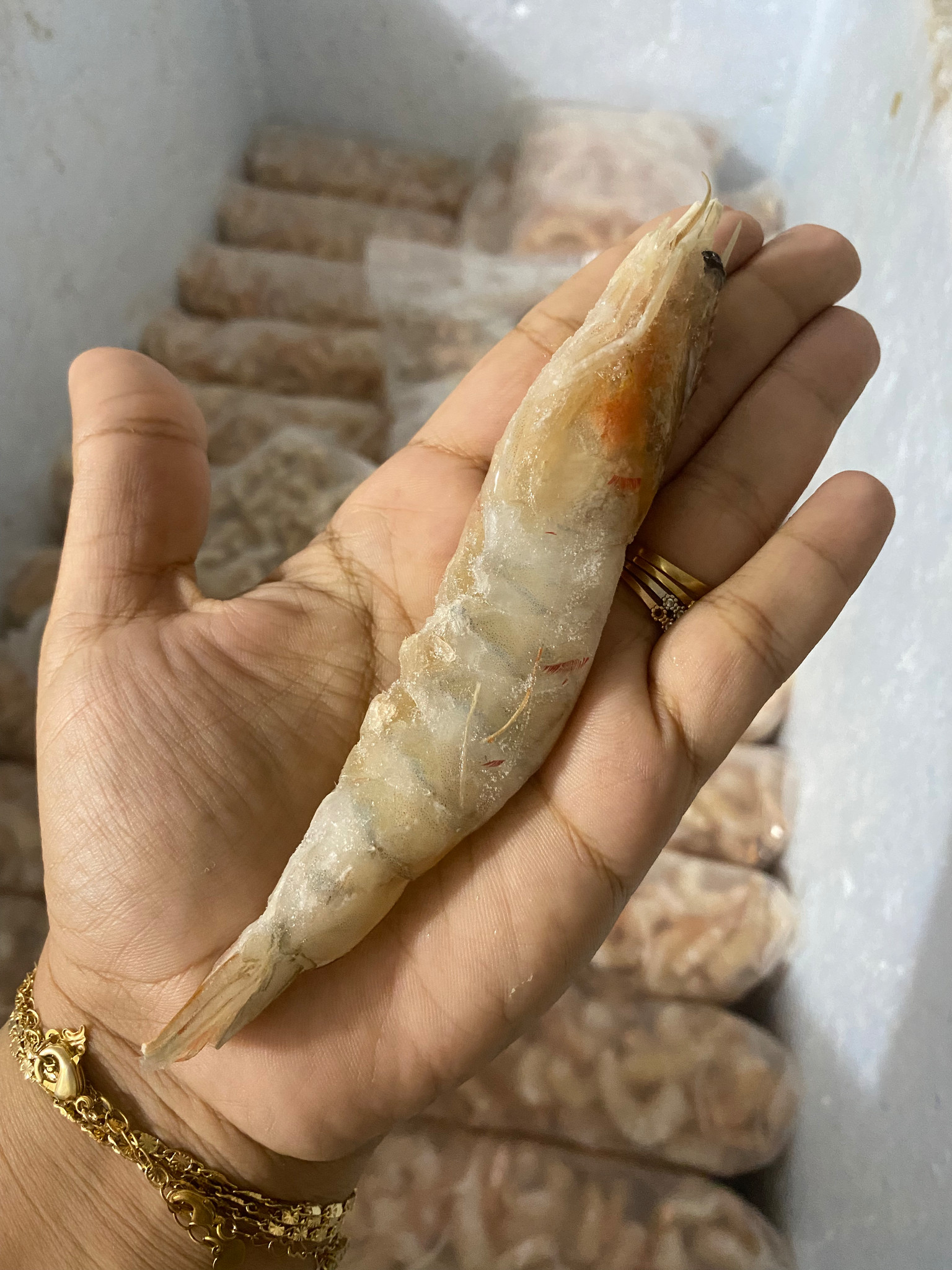 Camarão pistola GG (1kg)