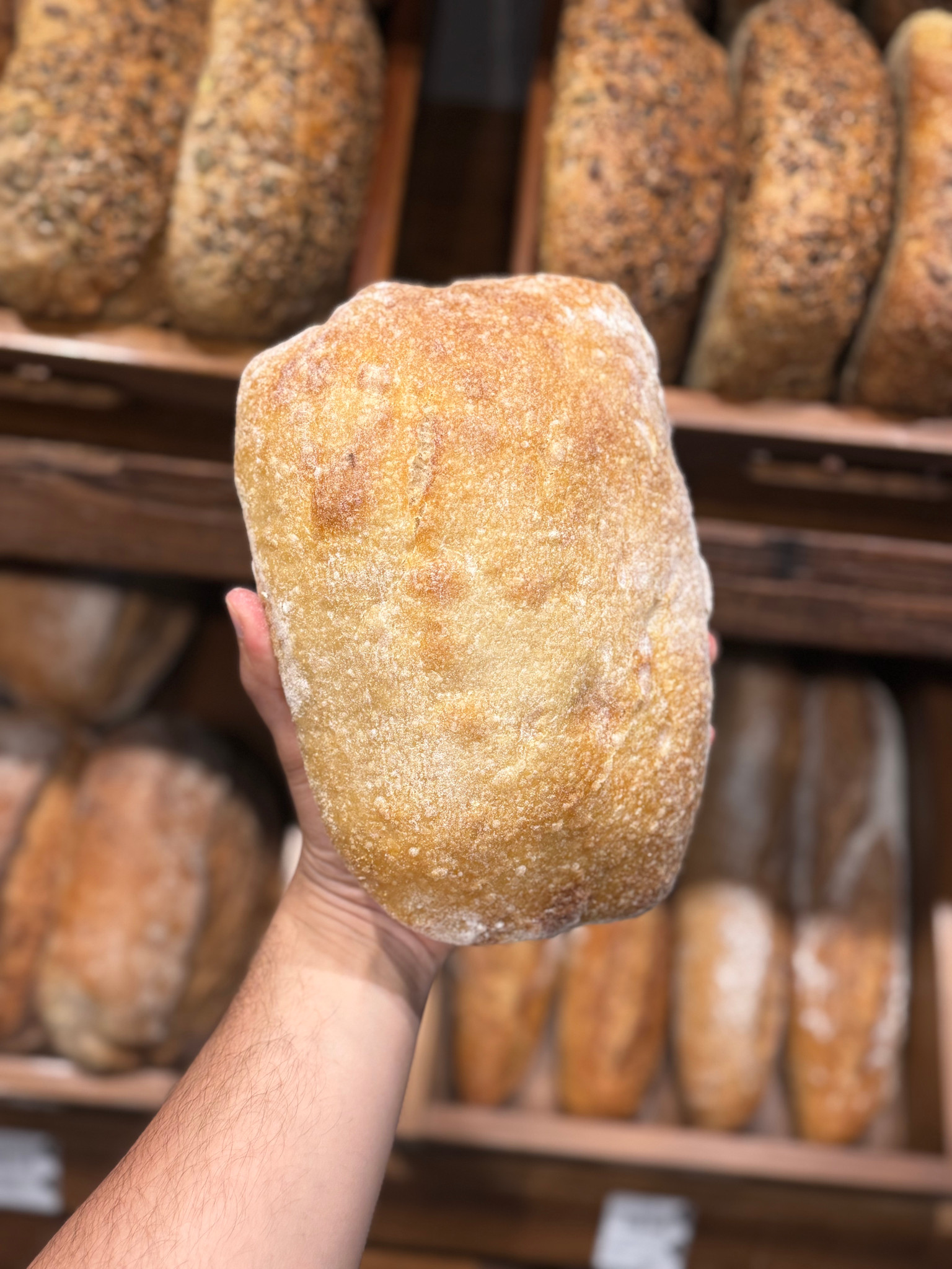CIABATTA