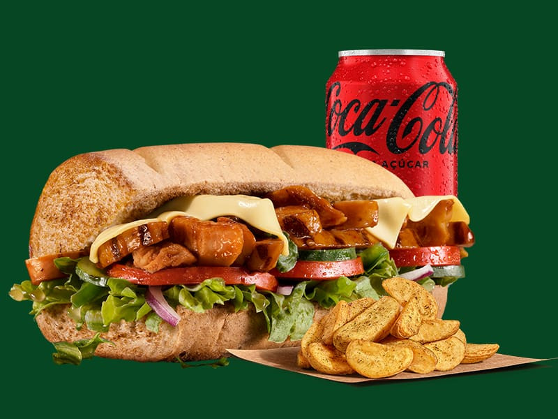Combo do Dia: Frango Teriyaki (15cm)