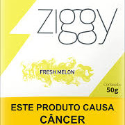 ZIGGY FRESH MELON 