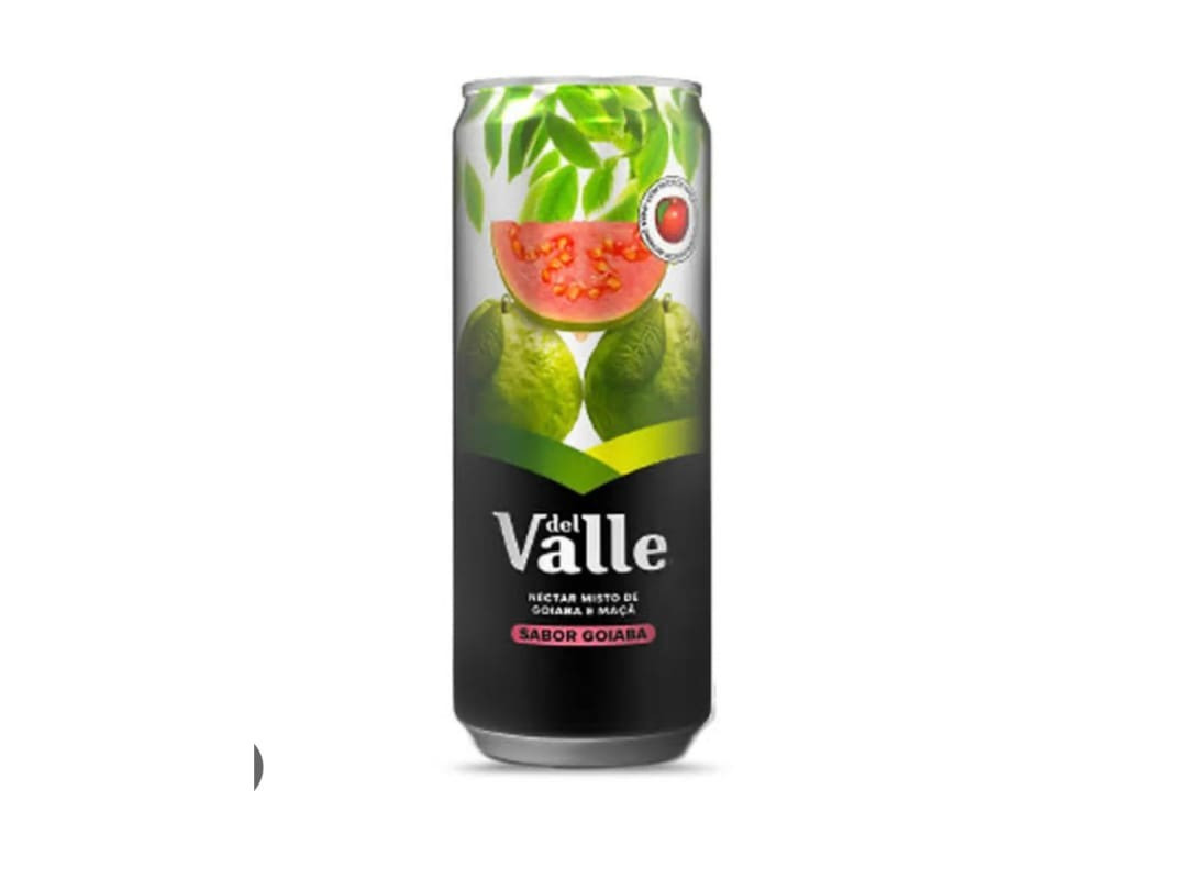 SUCO DEL VALLE GOIABA 290ML