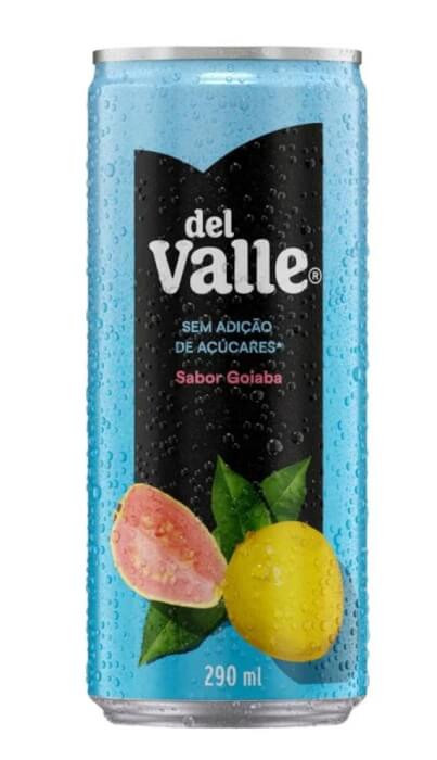 Suco Del Valle Néctar Goiaba 290ml