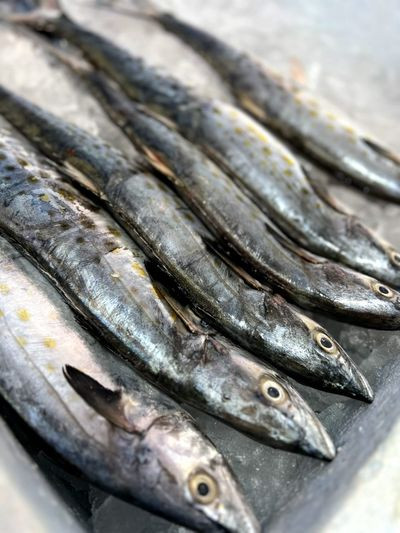 Peixe serra (1kg)