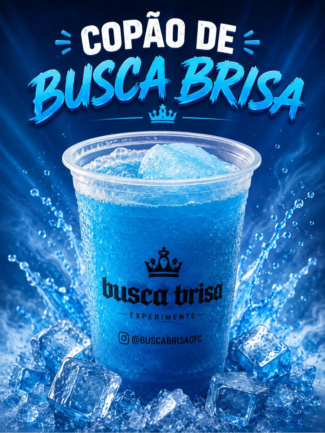 COPAO DE BUSCA BRISA