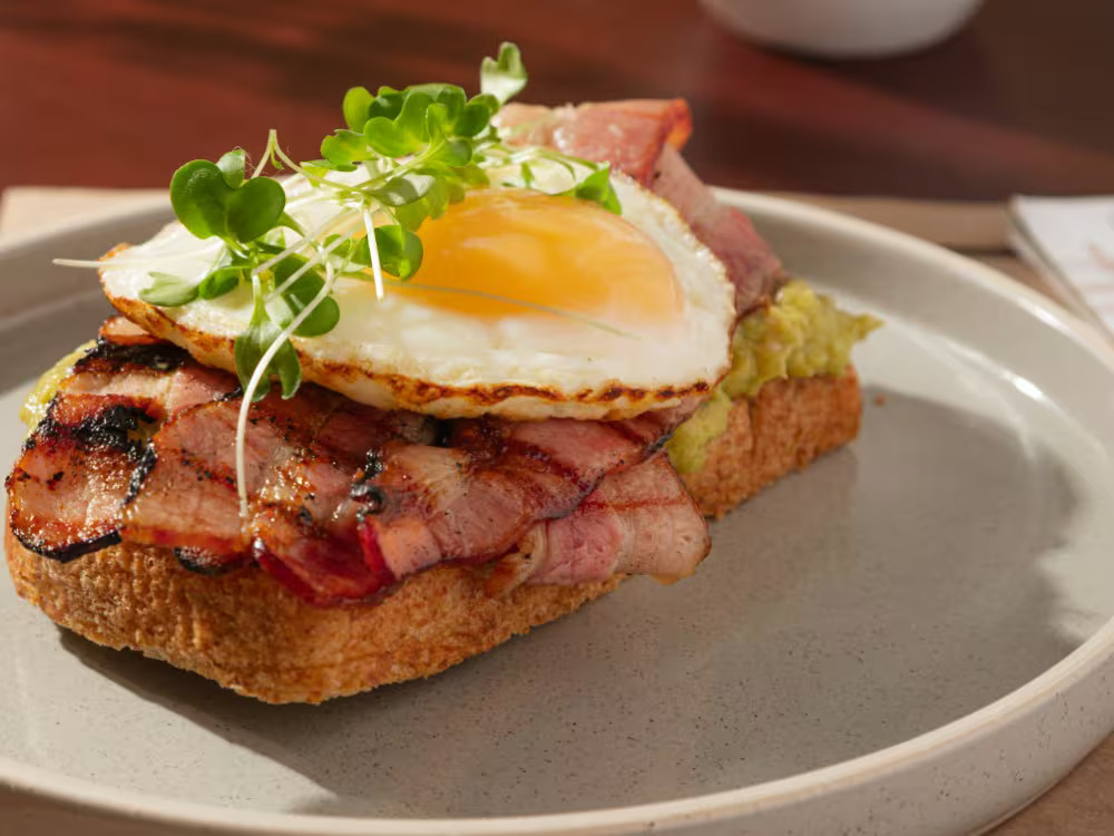 TOAST AVOCATE